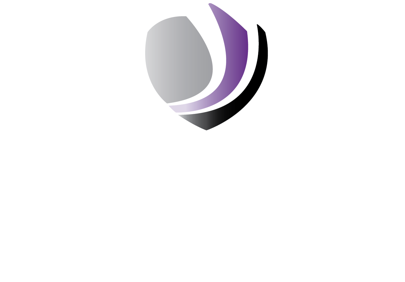 The Wells Academy